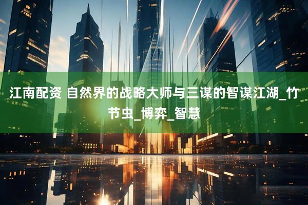 江南配资 自然界的战略大师与三谋的智谋江湖_竹节虫_博弈_智慧
