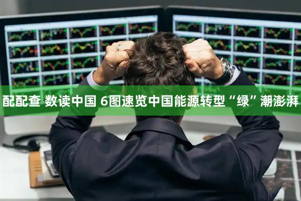 配配查 数读中国 6图速览中国能源转型“绿”潮澎湃