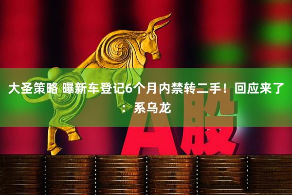 大圣策略 曝新车登记6个月内禁转二手！回应来了：系乌龙