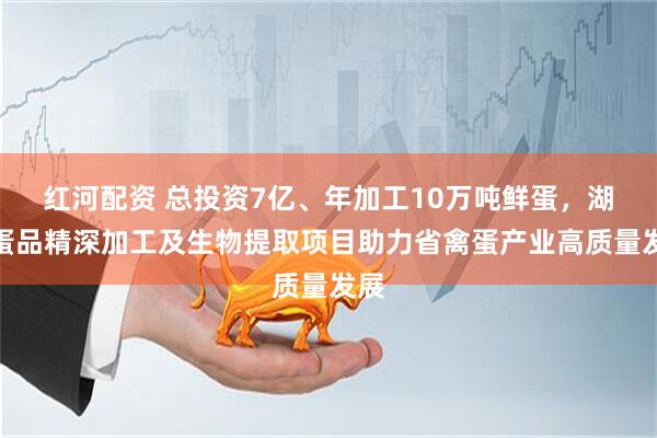 红河配资 总投资7亿、年加工10万吨鲜蛋，湖北蛋品精深加工及生物提取项目助力省禽蛋产业高质量发展